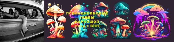 ешки Арсеньев