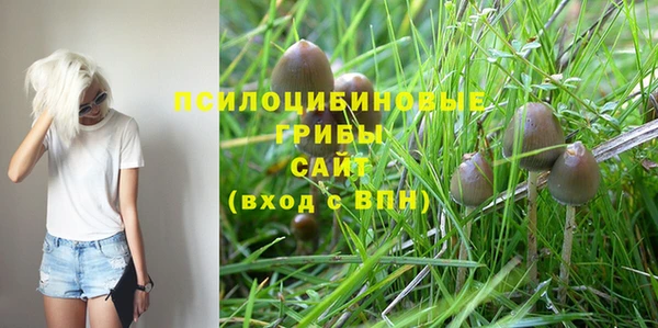 первитин Армянск