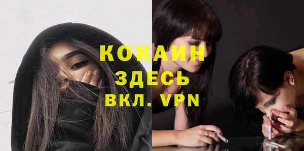 ешки Арсеньев