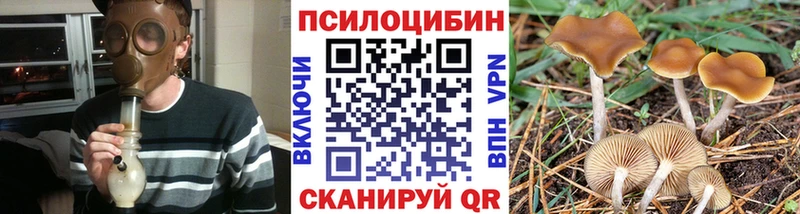Псилоцибиновые грибы ЛСД  shop телеграм  Протвино  даркнет сайт  блэк спрут зеркало 